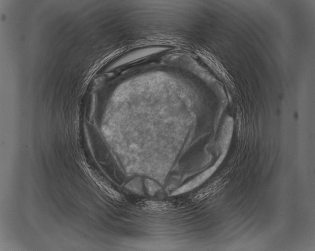 X0000085730442200704091448