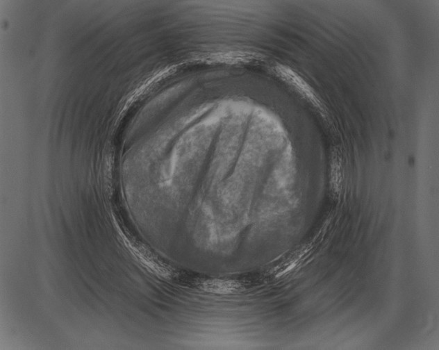 X0000085730444200704091448