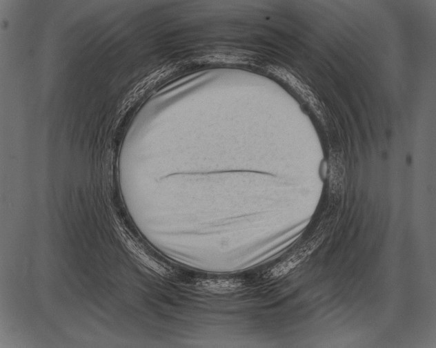 X0000085730445200704091448