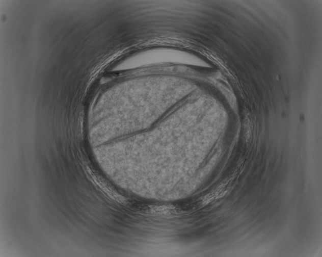 X0000085730446200704091448