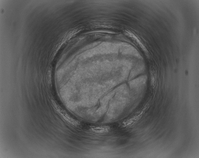 X0000085730447200704091448