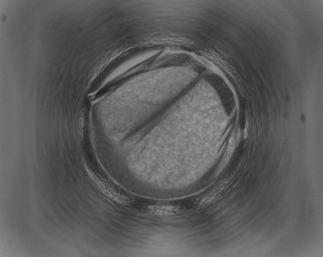 X0000085730448200704091448