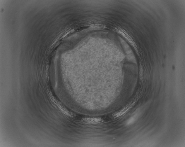 X0000085730449200704091448