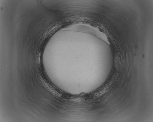 X0000085730454200704091448