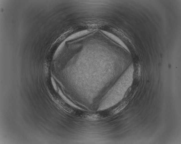 X0000085730456200704091448