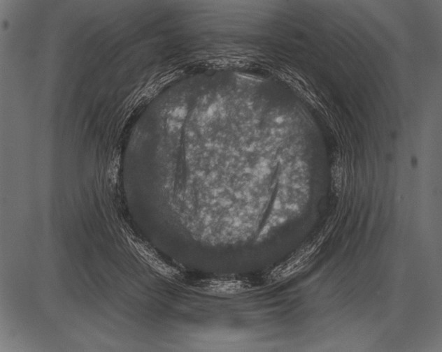 X0000085730458200704091448