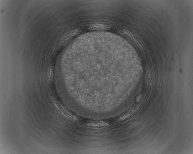 X0000085730459200704091448