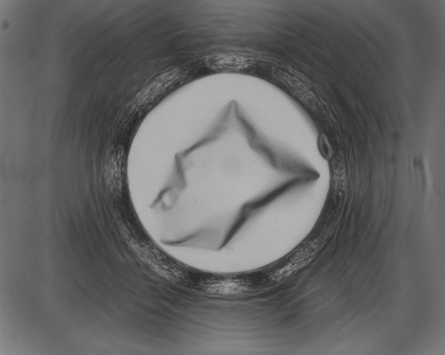 X0000085730460200704091448