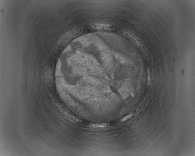 X0000085730461200704091448