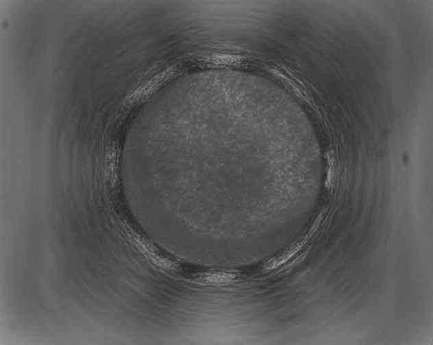 X0000085730462200704091448