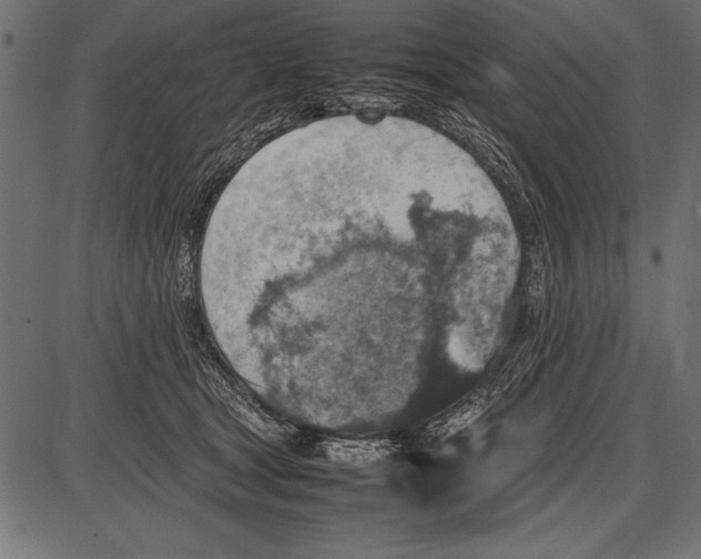 X0000085730465200704091448