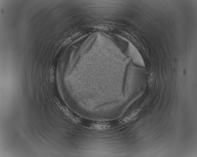 X0000085730466200704091449