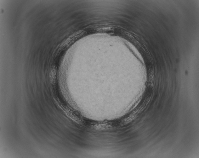 X0000085730468200704091449