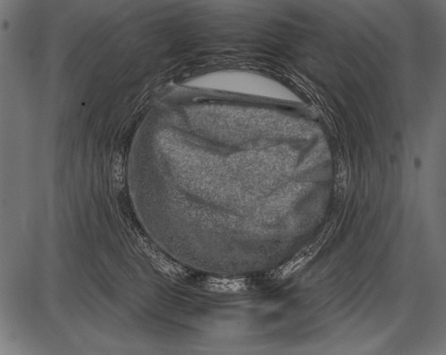 X0000085730469200704091449