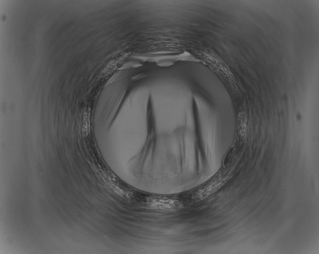 X0000085730471200704091449