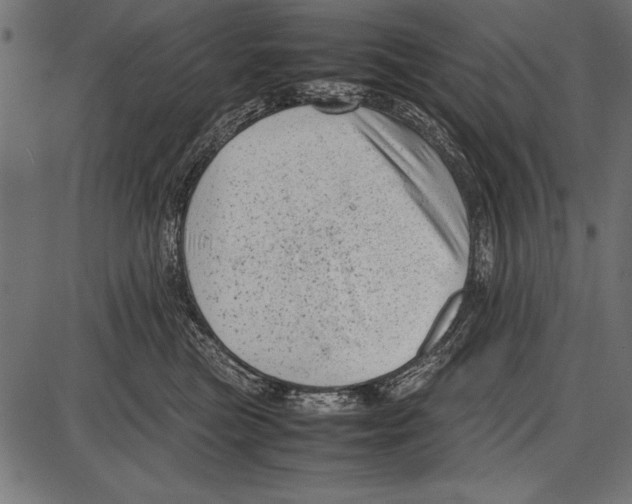 X0000085730473200704091449