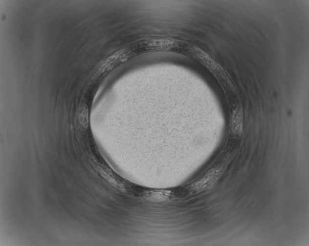 X0000085730474200704091449