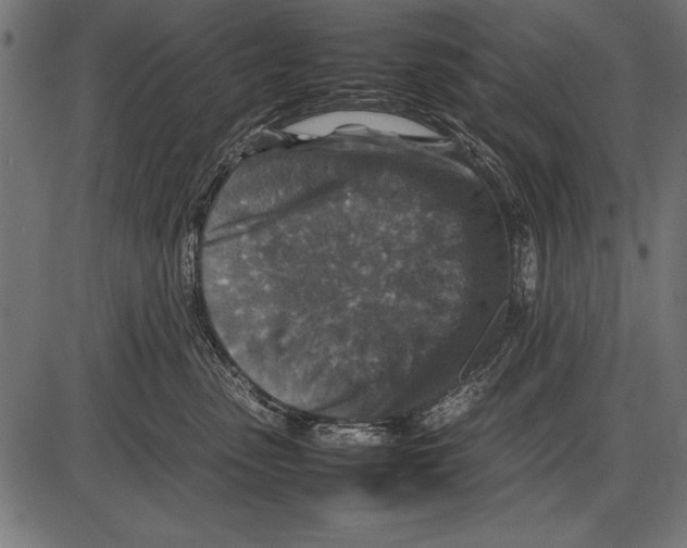 X0000085730475200704091449