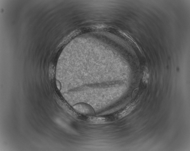 X0000085730476200704091449