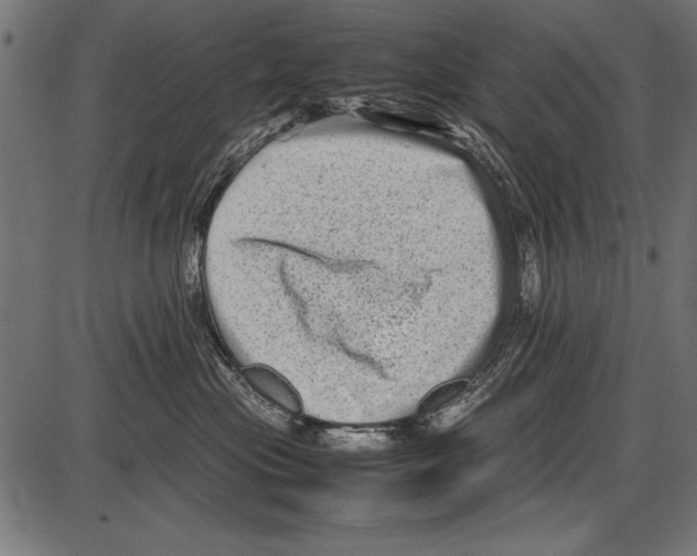 X0000085730477200704091449