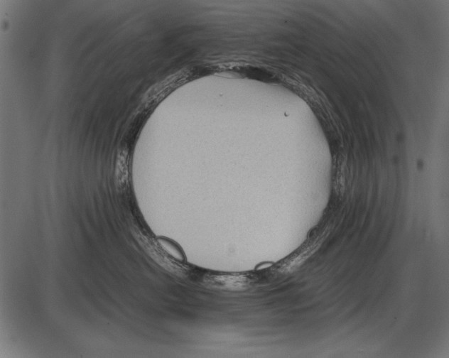 X0000085730478200704091449