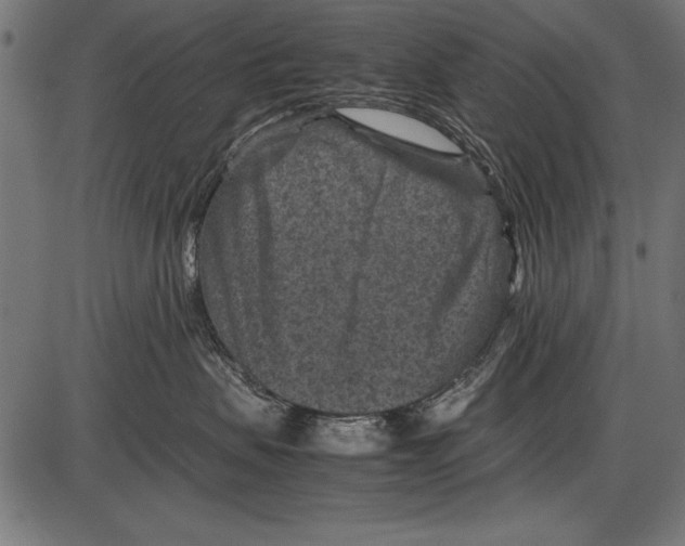 X0000085730479200704091449