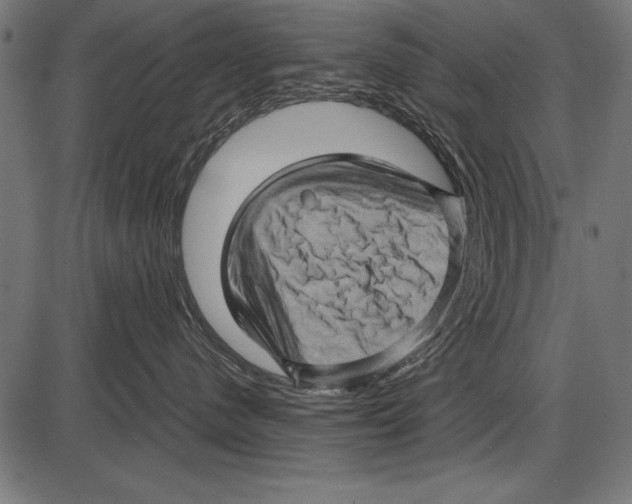 X0000085730480200704091449