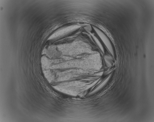 X0000085730481200704091448