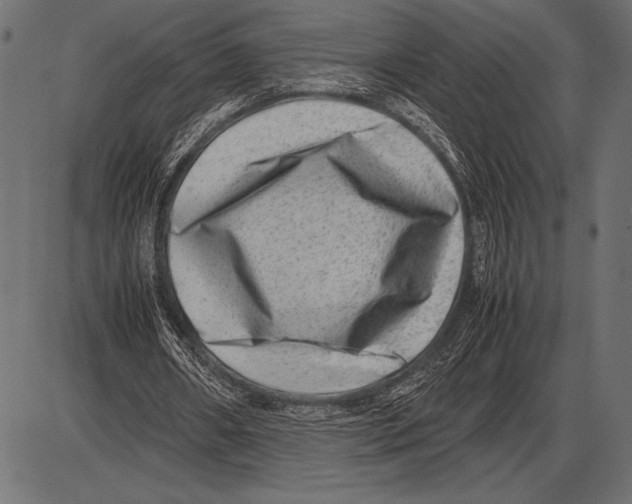 X0000085730482200704091448