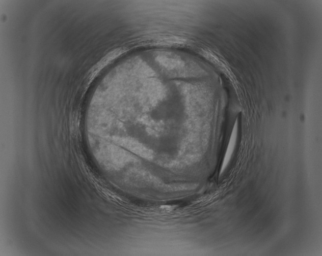 X0000085730483200704091448