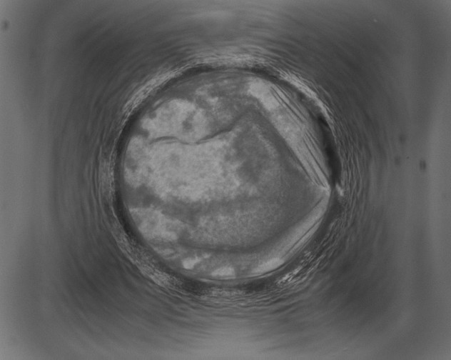 X0000085730487200704091448