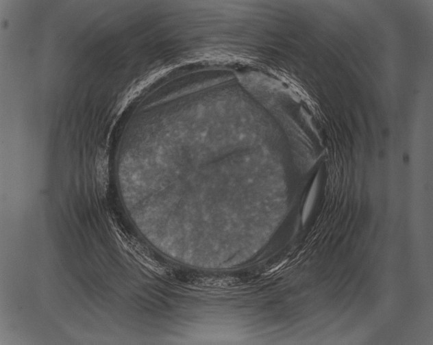 X0000085730488200704091448