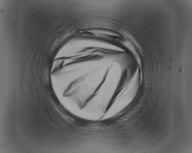 X0000085730489200704091448