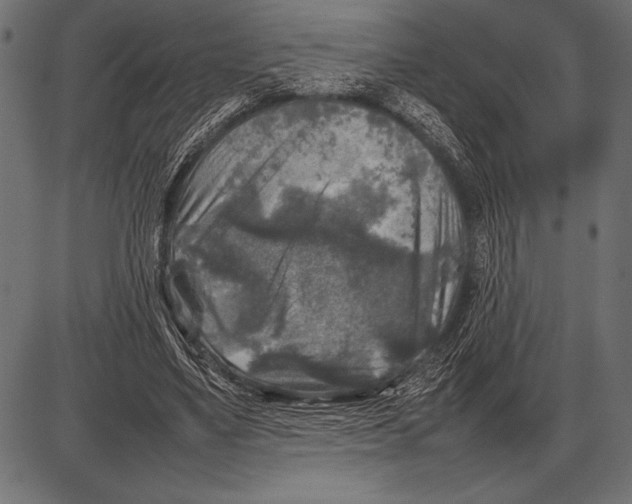 X0000085730491200704091448