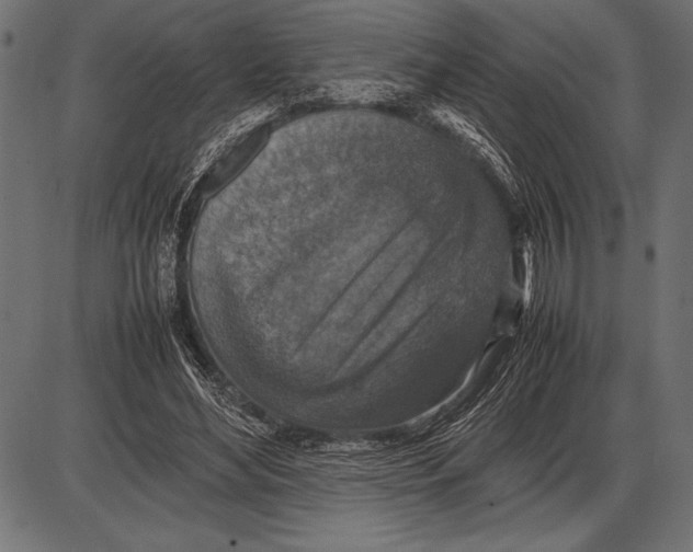 X0000085730492200704091448