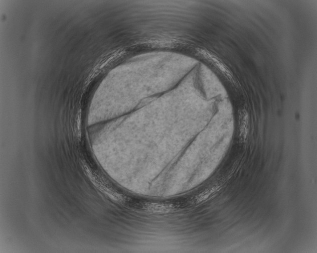 X0000085730494200704091448