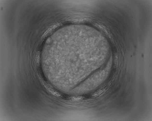 X0000085730495200704091448