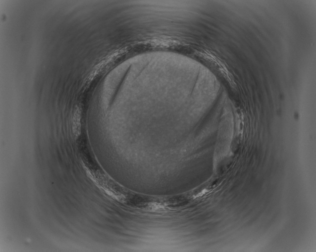 X0000085730496200704091448