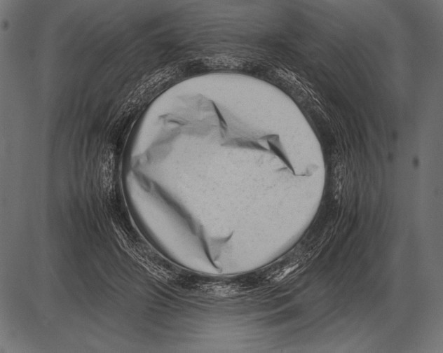 X0000085730498200704091448