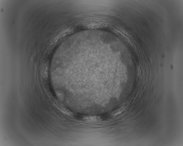 X0000085730499200704091448