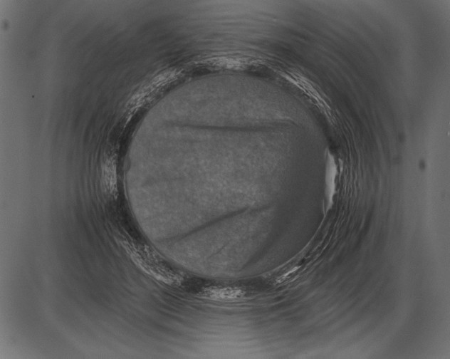 X0000085730500200704091448