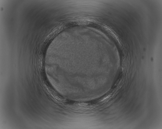 X0000085730501200704091448