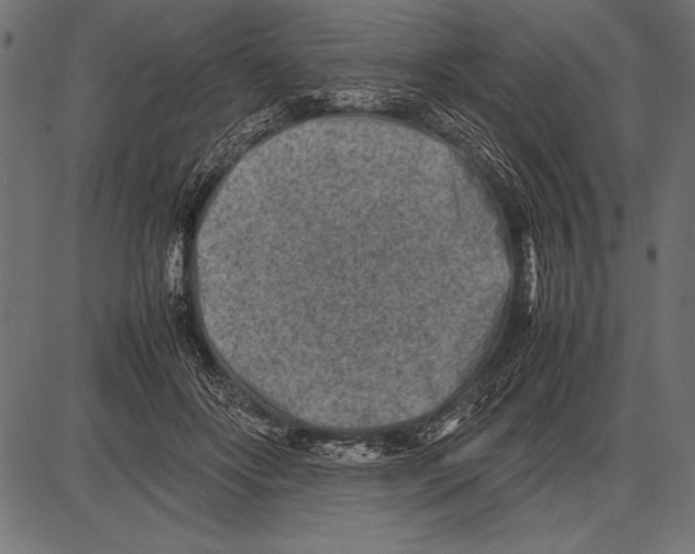 X0000085730502200704091448