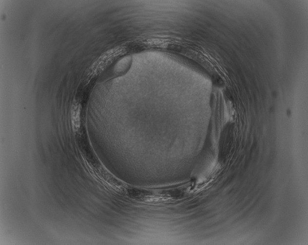 X0000085730504200704091448