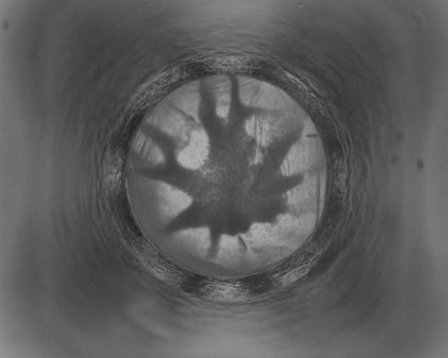 X0000085730507200704091448