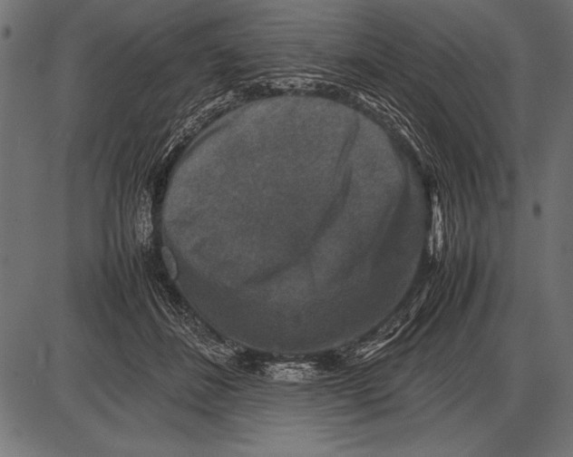 X0000085730508200704091447