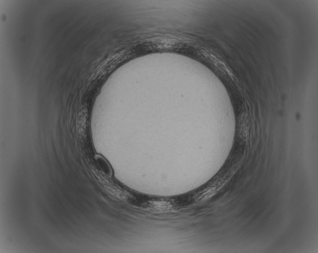 X0000085730509200704091447