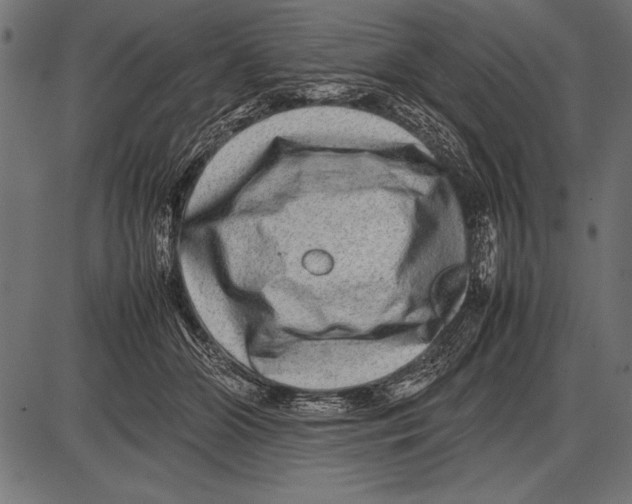 X0000085730510200704091447