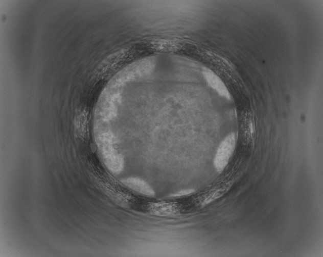 X0000085730511200704091447