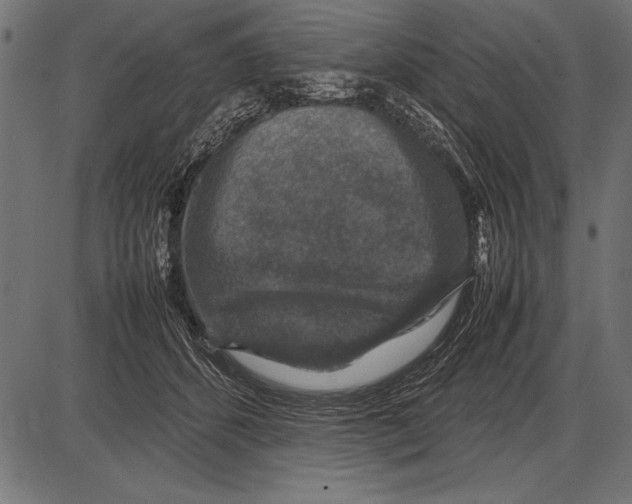 X0000085730512200704091447